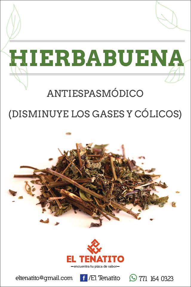 Hierbabuena: El aliado natural para aliviar espasmos, gases y colicos