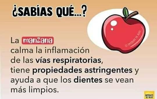 Beneficios de la manzana para la salud respiratoria y dental