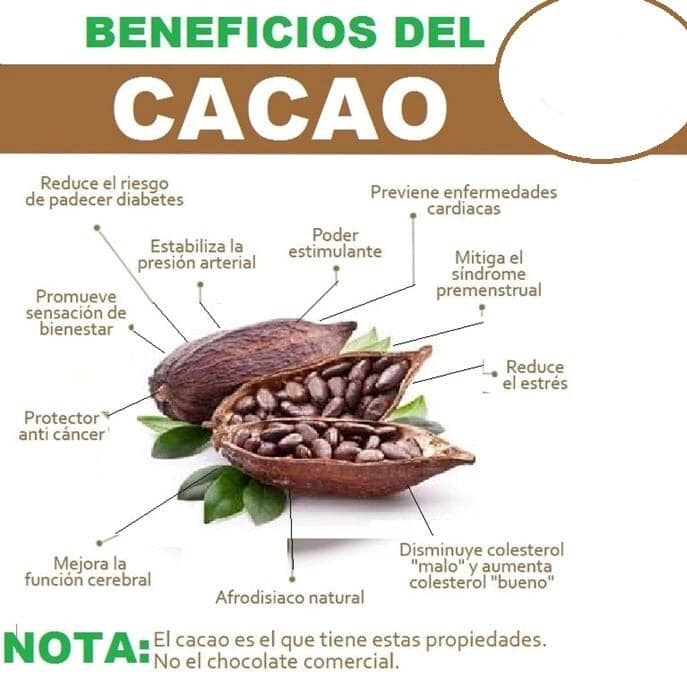 Beneficios del cacao puro para la salud: Remedios naturales