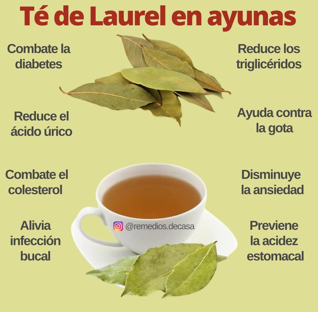 Beneficios del Te de Laurel en Ayunas