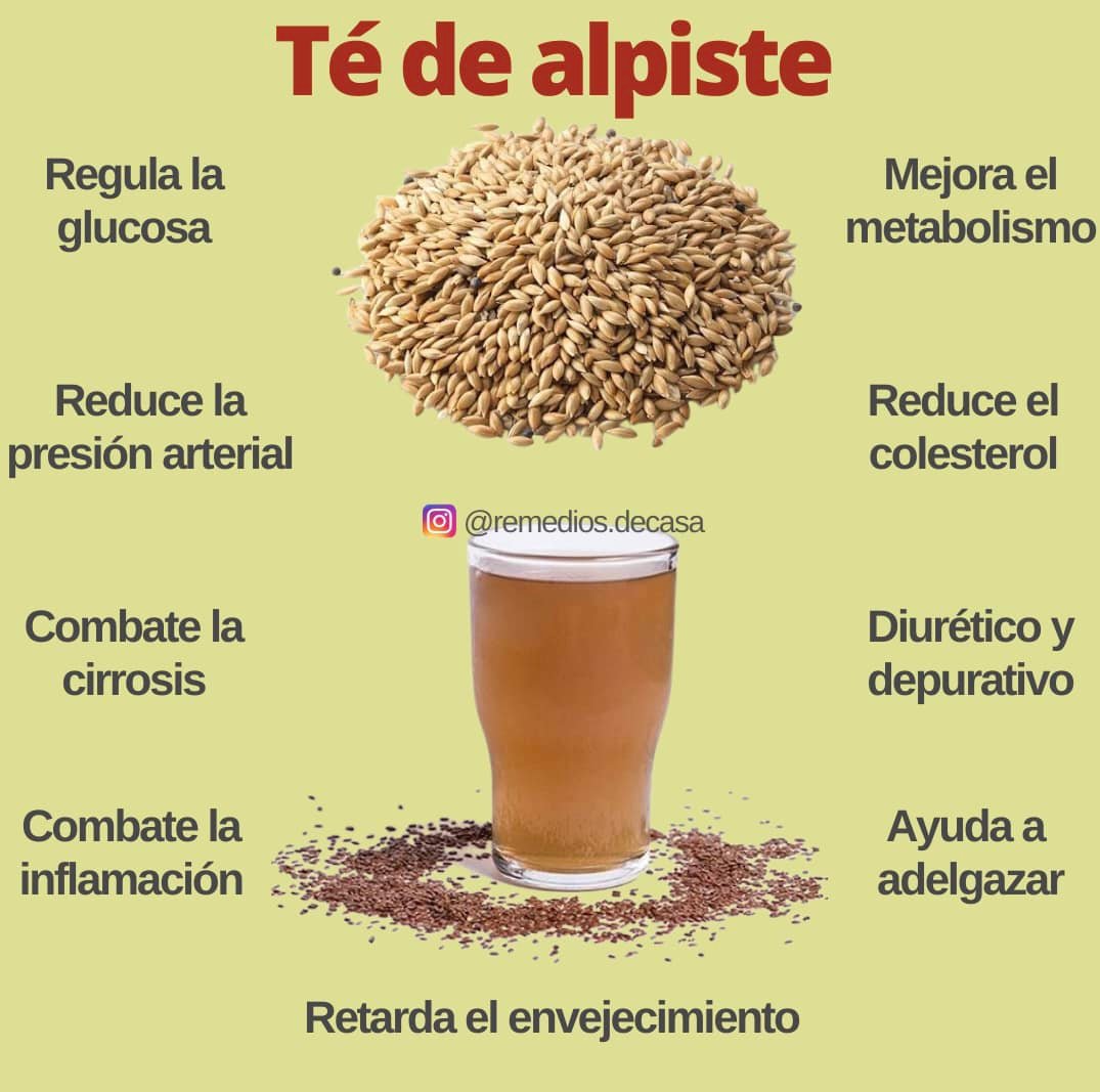 Beneficios del Te de Alpiste para la Salud