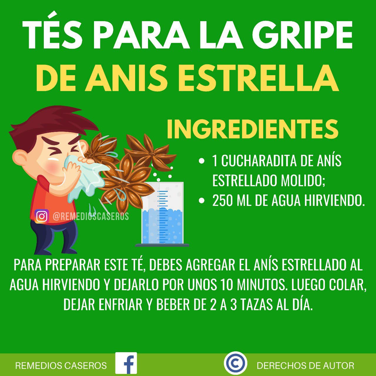 Remedio natural de anis estrellado para la gripe