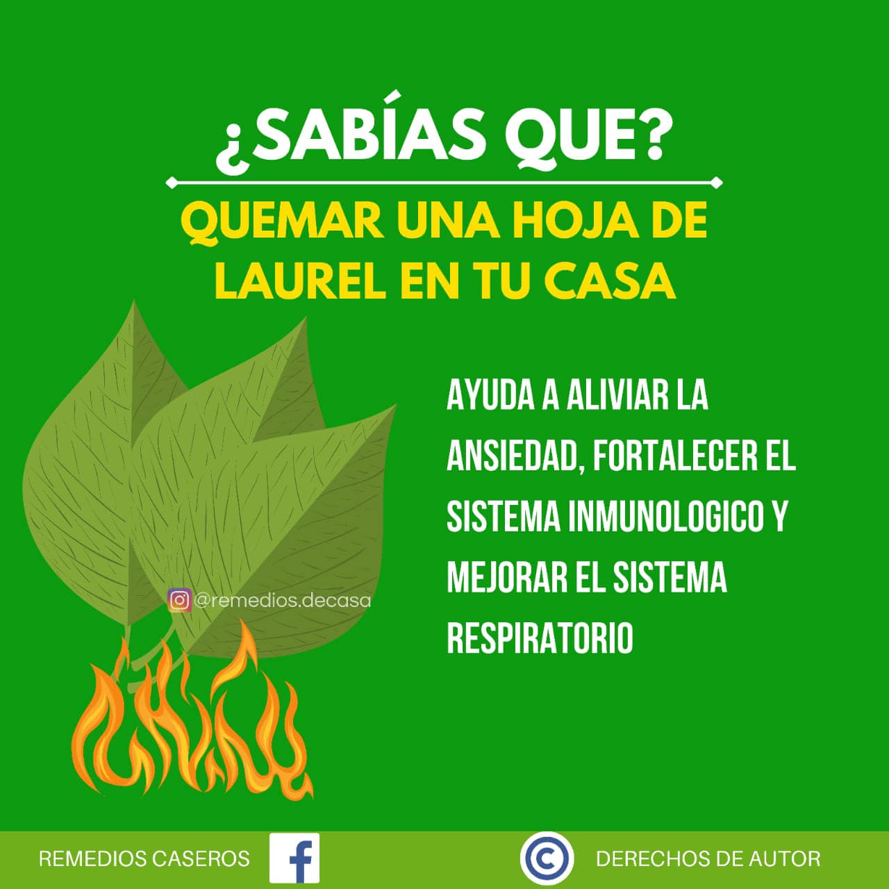 Beneficios de quemar hojas de laurel en casa para la salud