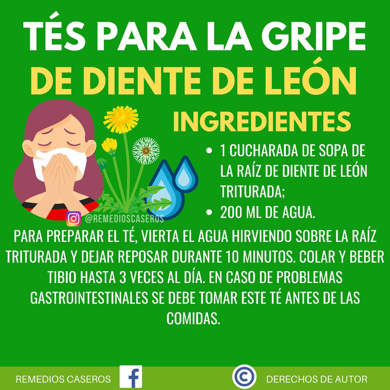 Te de raiz de diente de leon para la gripe: Remedios caseros efectivos