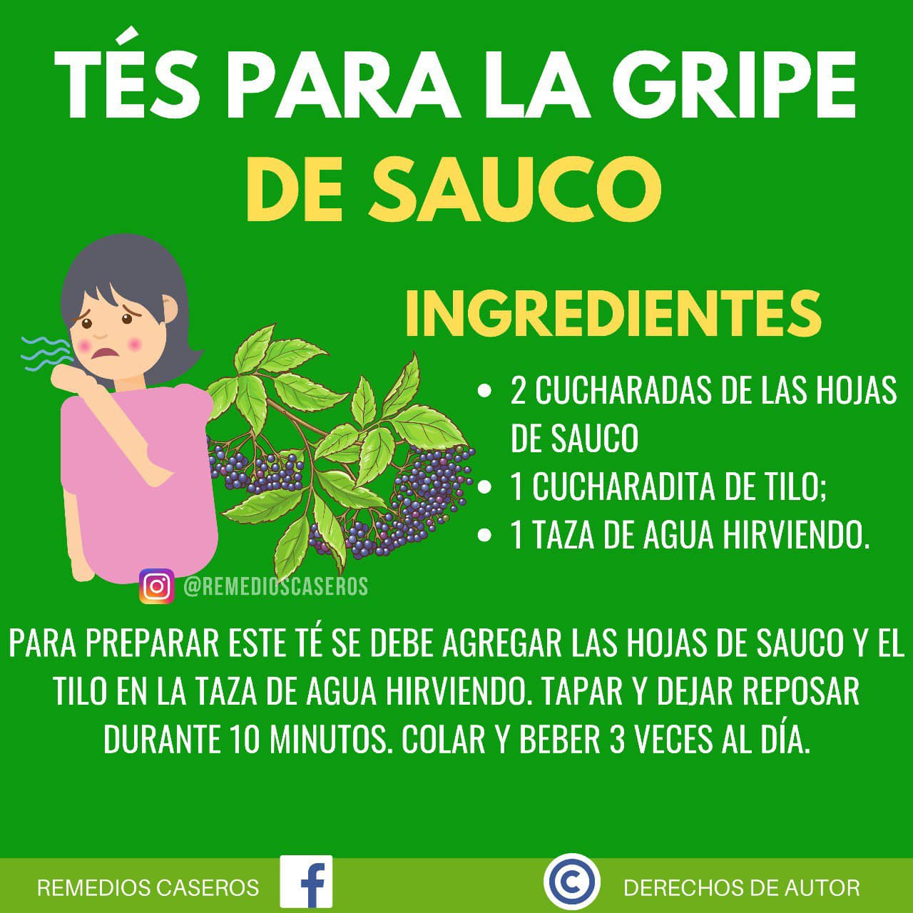 Infusion de sauco y tilo para aliviar la gripe de manera natural