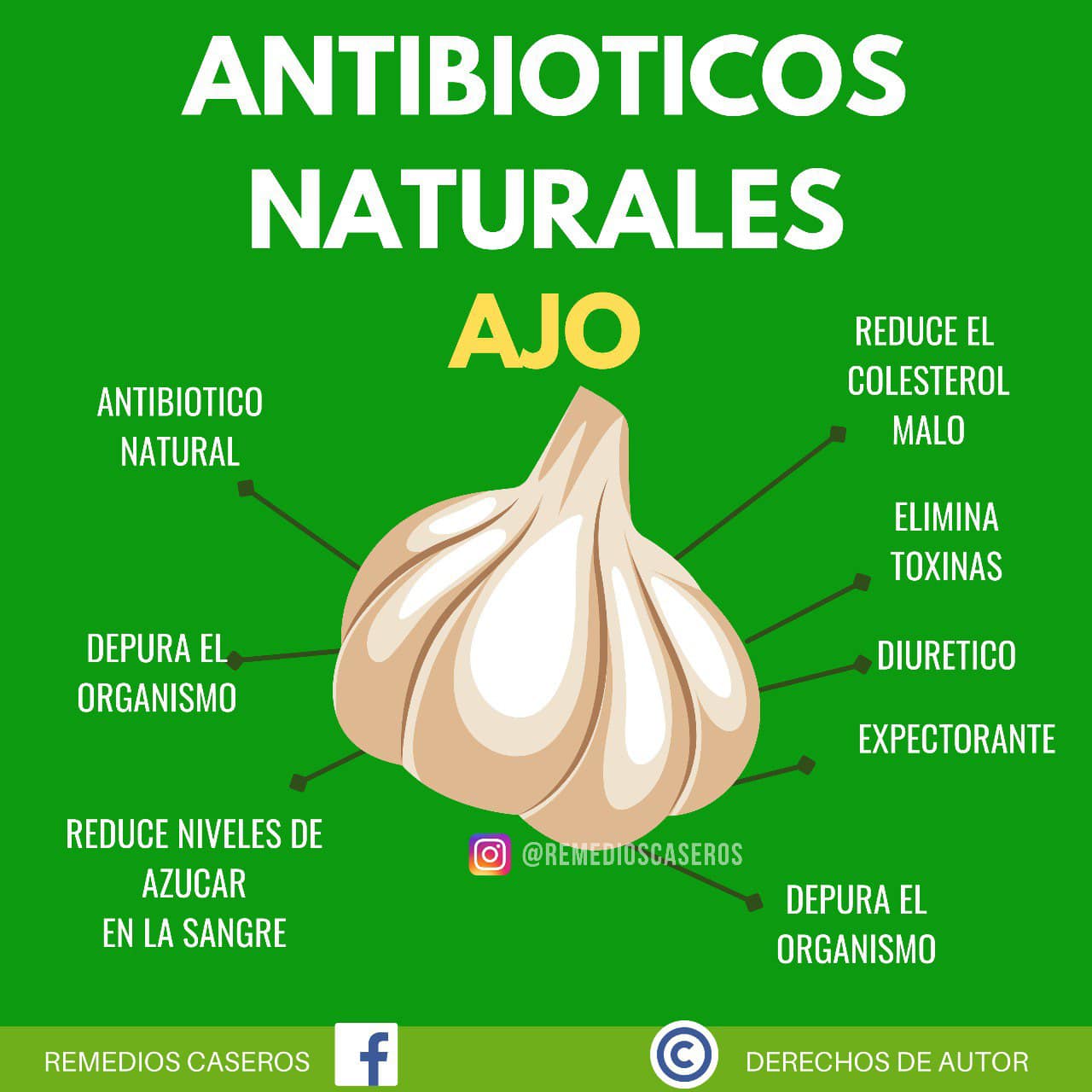 Beneficios del ajo como remedio natural para la salud