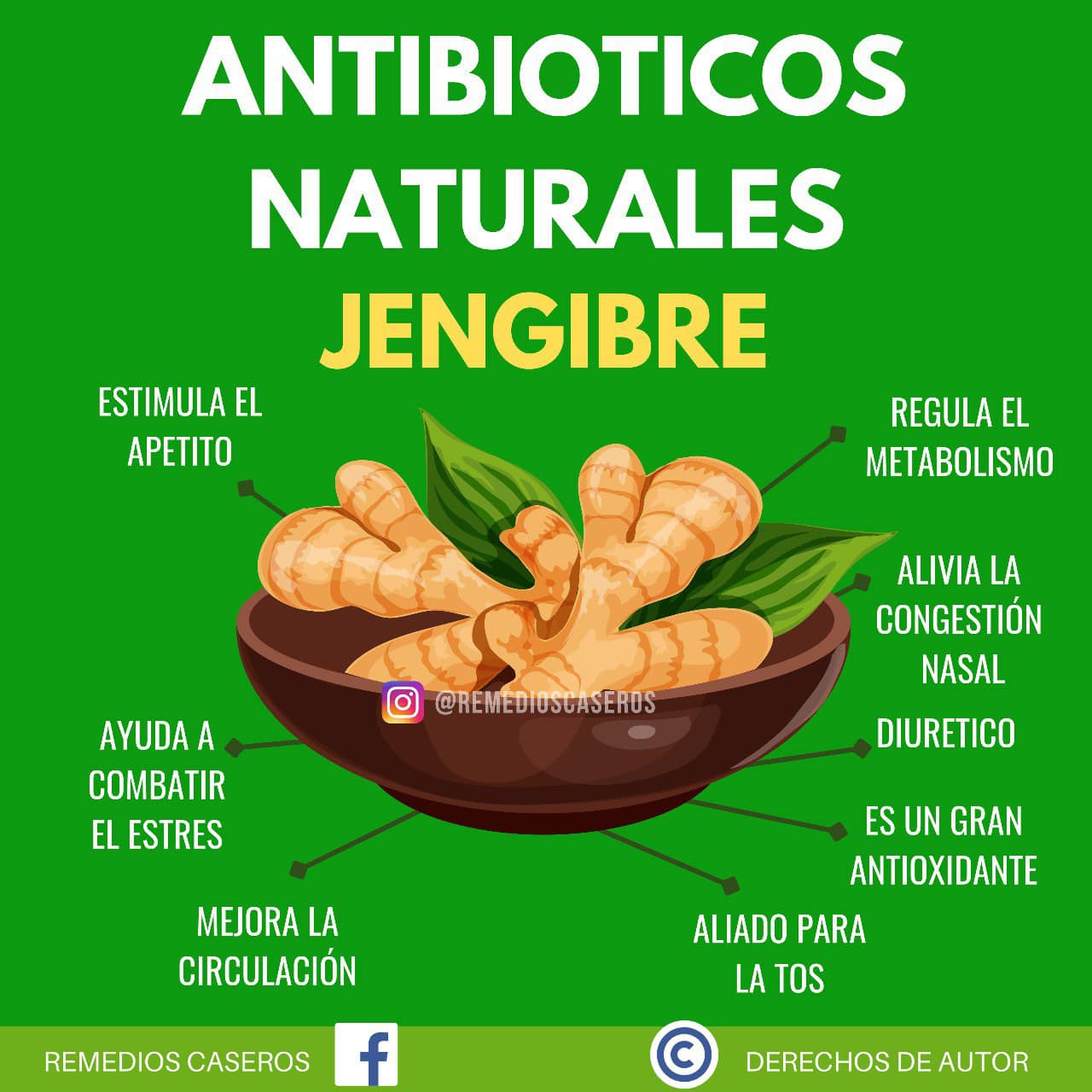 Remedios Naturales para Estimular el Metabolismo y Combatir el Estres