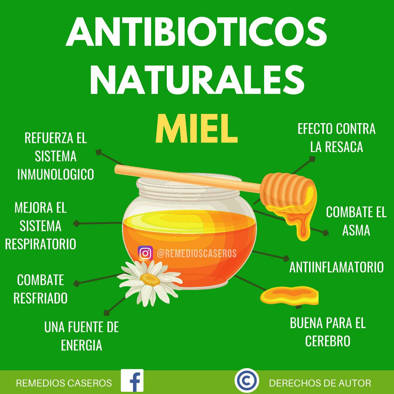 Remedio Natural para Reforzar el Sistema Inmunologico y Combatir el Resfriado