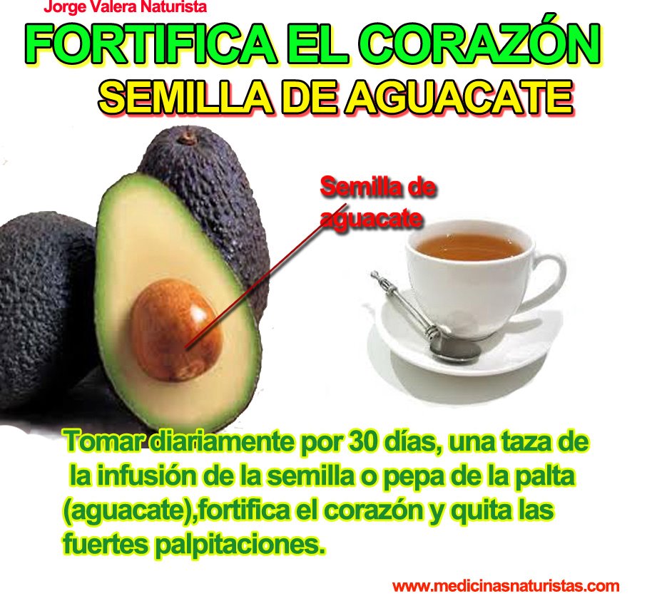 Semilla de Aguacate para Fortalecer el Corazon: Remedios Naturales