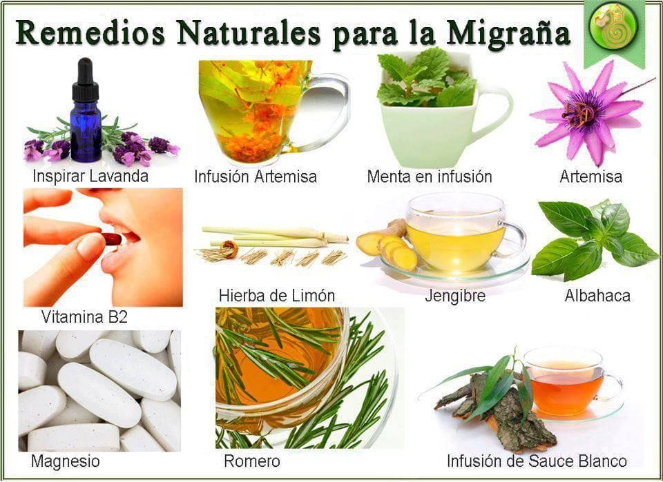 Remedios Naturales para Aliviar la Migrana con Lavanda, Artemisa y Menta