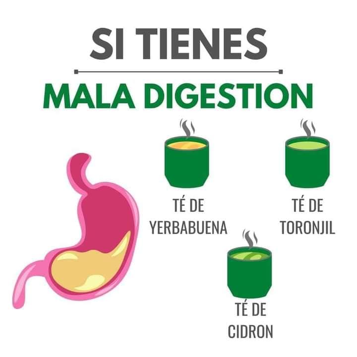 Remedio natural con Yerbabuena, Toronjil y Cidron para la mala digestion