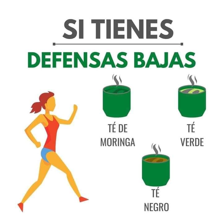 Como aumentar las defensas de forma natural con Moringa