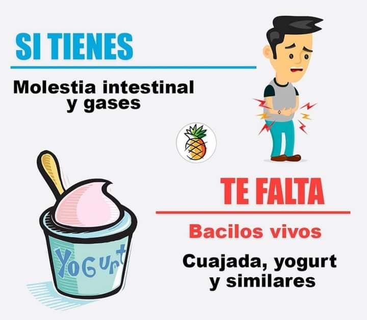 Remedio natural para molestias intestinales y gases: Bacilos vivos en cuajada y yogurt