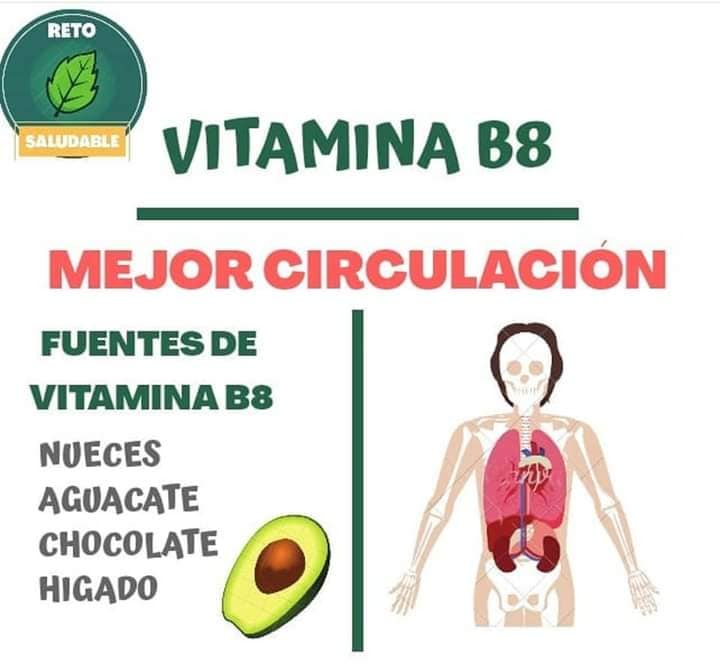 Beneficios de la Vitamina B8 para una mejor circulacion sanguinea