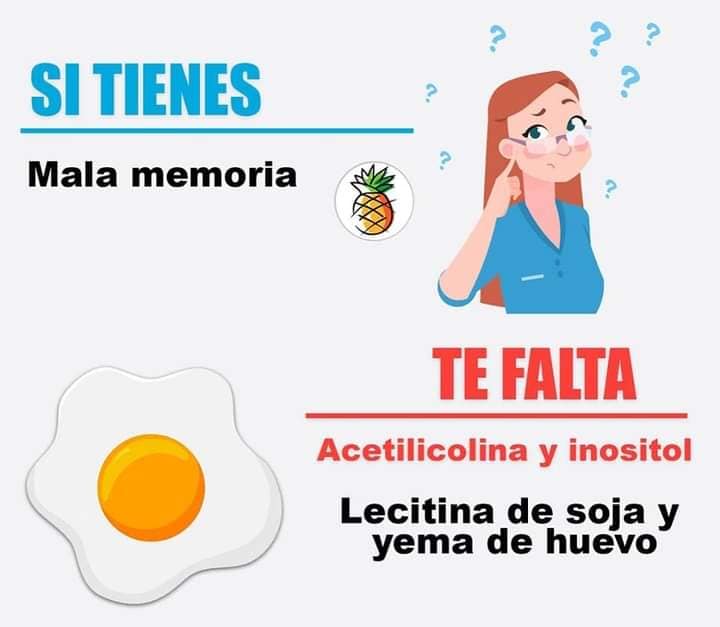 Remedios Naturales para Mejorar la Memoria