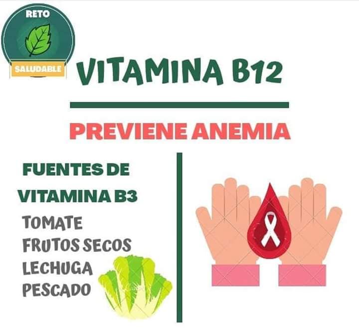 Prevenir la anemia con vitamina B12 y fuentes naturales de vitamina B3