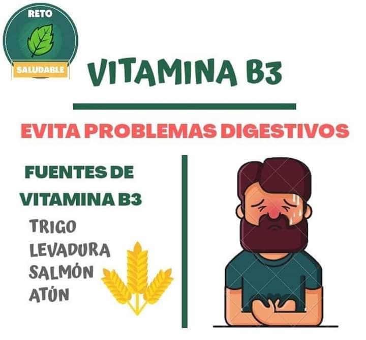 Vitamina B3: Beneficios para la salud digestiva y fuentes naturales