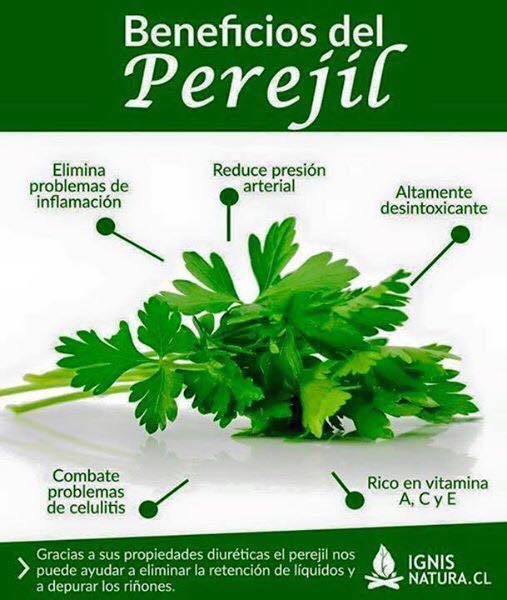 Beneficios del perejil para reducir la presion arterial y la celulitis