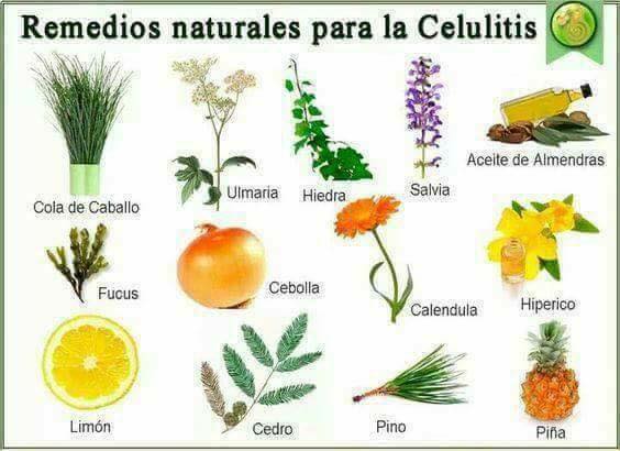 Remedios Naturales para Combatir la Celulitis de forma Efectiva