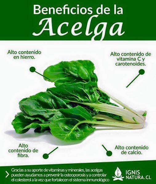 Beneficios del Acea para la Salud: Alto Contenido de Hierro, Vitamina C y Carotenoides