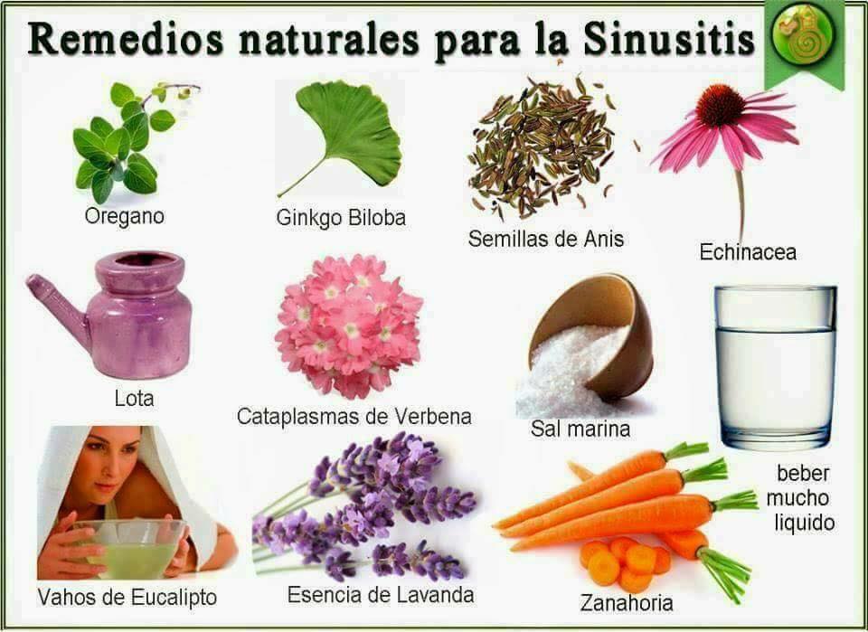 Remedios naturales para aliviar la sinusitis de forma efectiva