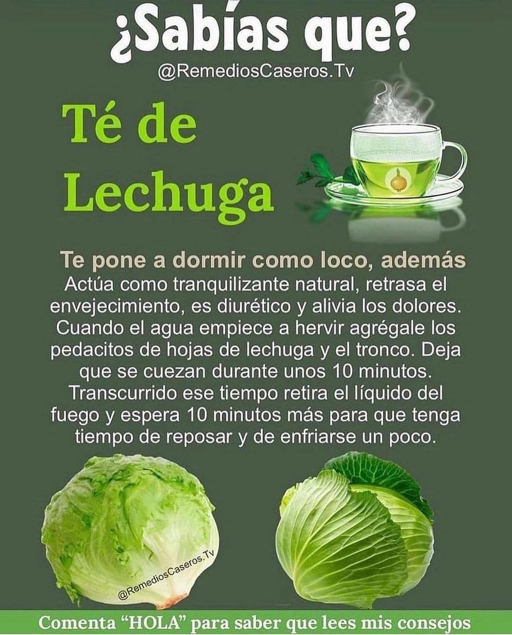 Beneficios del Te de Lechuga: un tranquilizante natural para conciliar el sueno