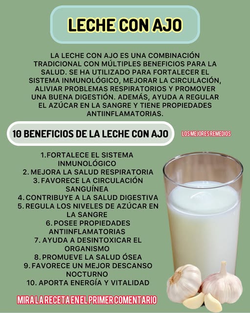 10 Beneficios de leche con ajo para la salud