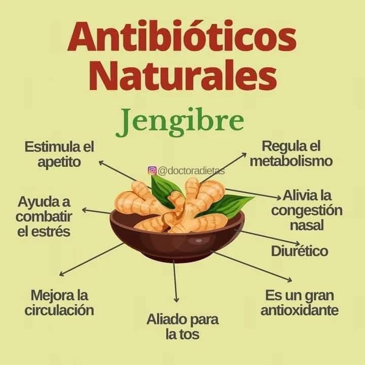 Jengibre: Un Potente Antibiotico Natural