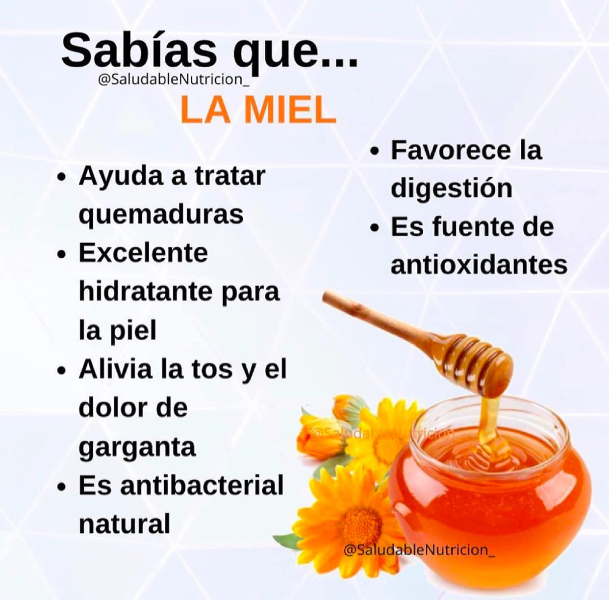 Beneficios de la Miel: Un Remedio Natural Multifuncional