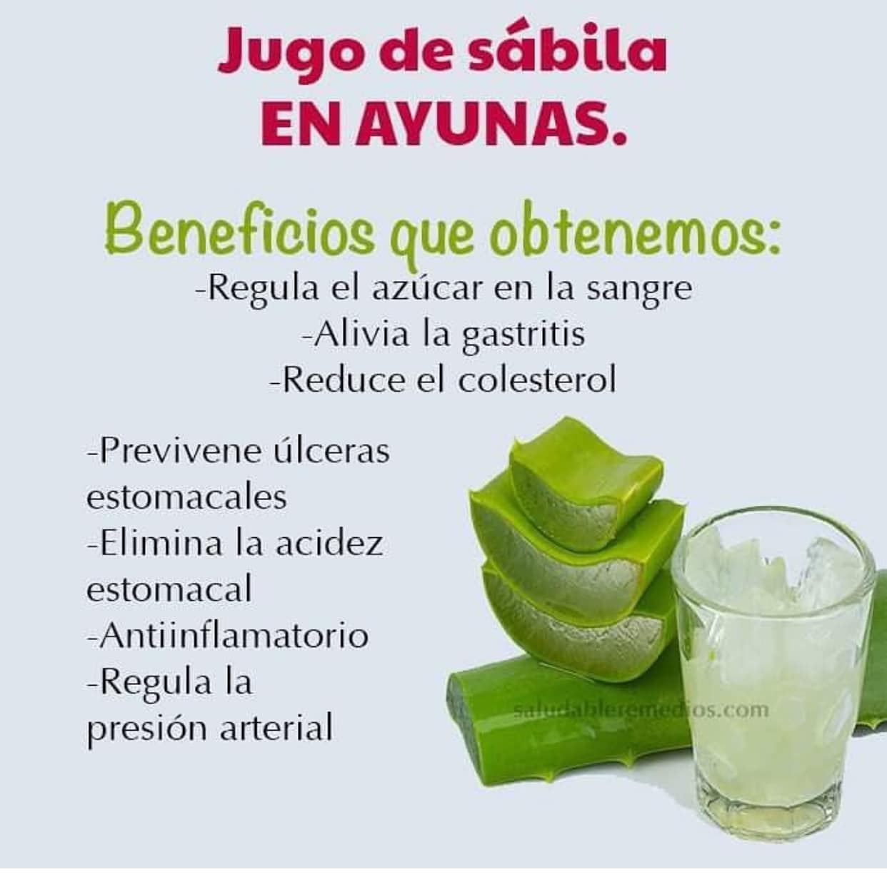 Jugo de Sabila: Un Remedio Natural para la Salud Digestiva y Mas