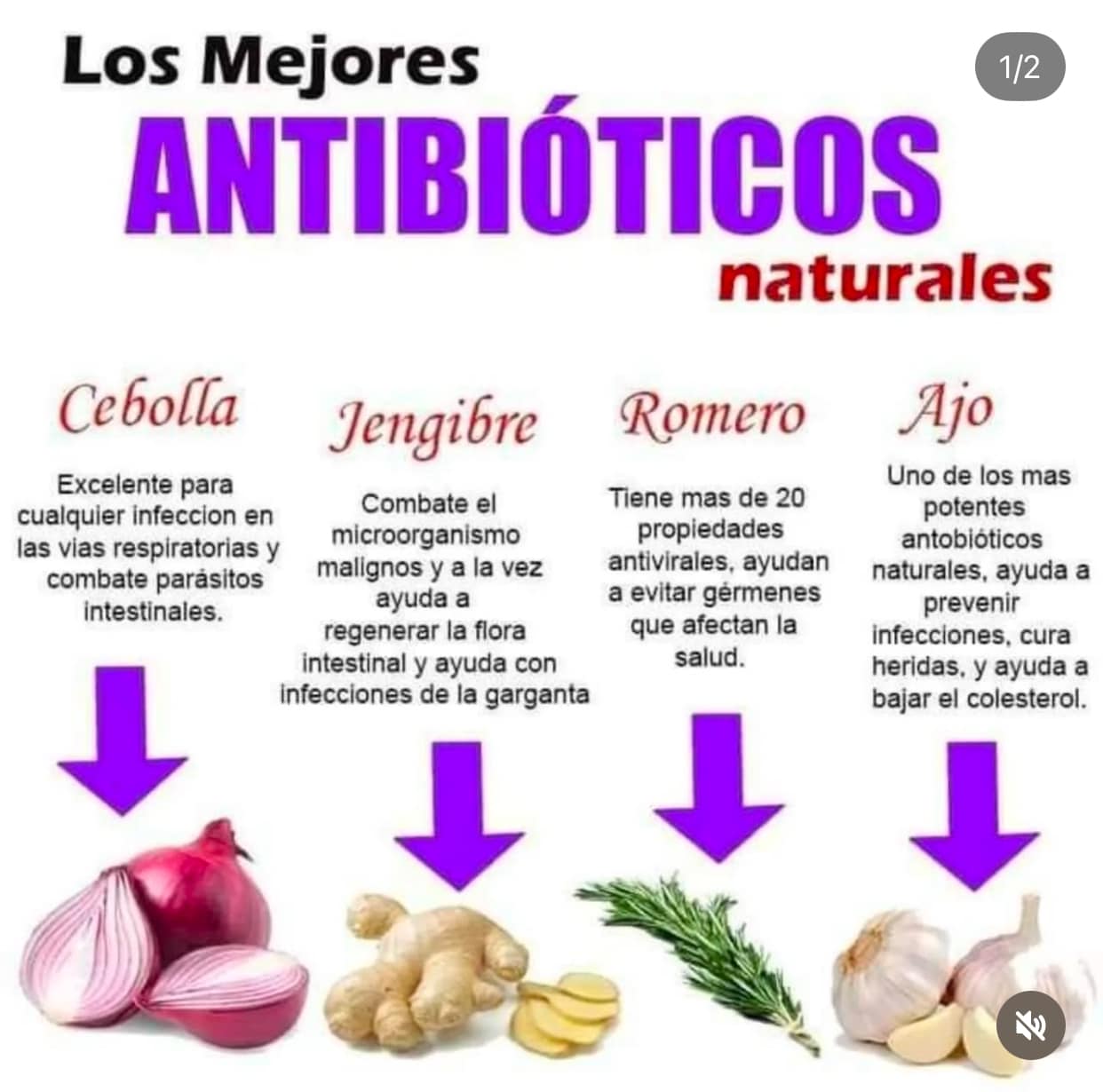 Los Mejores Remedios Naturales: Cebolla, Jengibre, Romero y Ajo