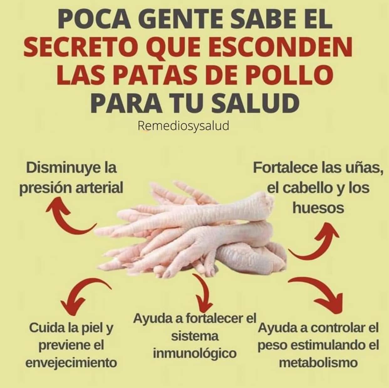 Los Beneficios Ocultos de las Patas de Pollo para Tu Salud