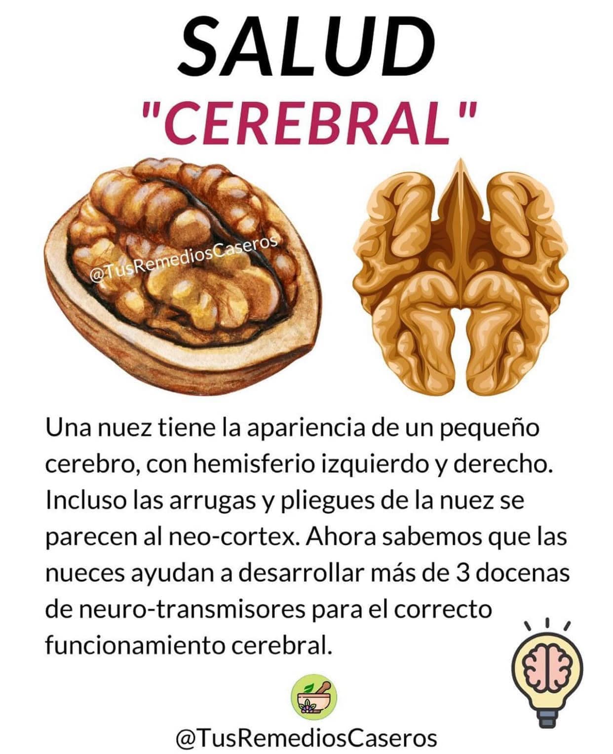 Beneficios de las Nueces para la Salud Cerebral