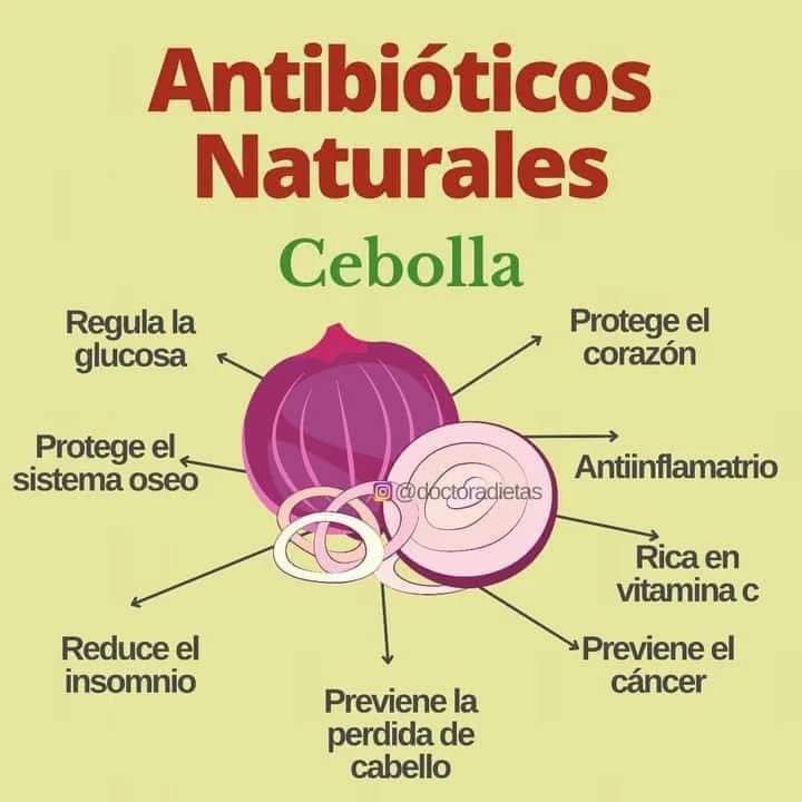 Cebolla: Un Antibiotico Natural y sus Multiples Beneficios