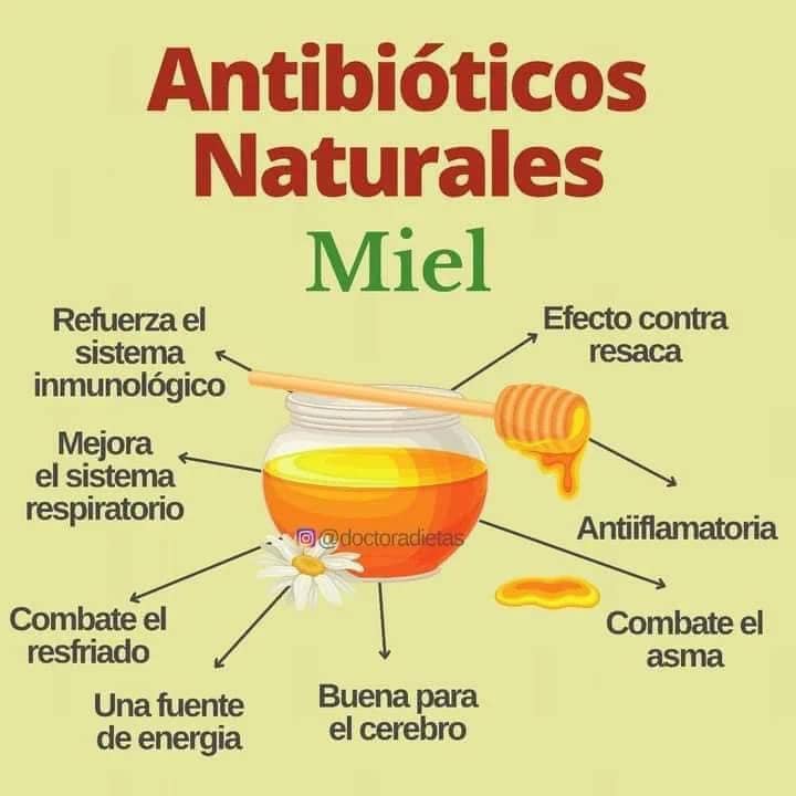 Antibioticos Naturales: Miel como Remedio Eficaz