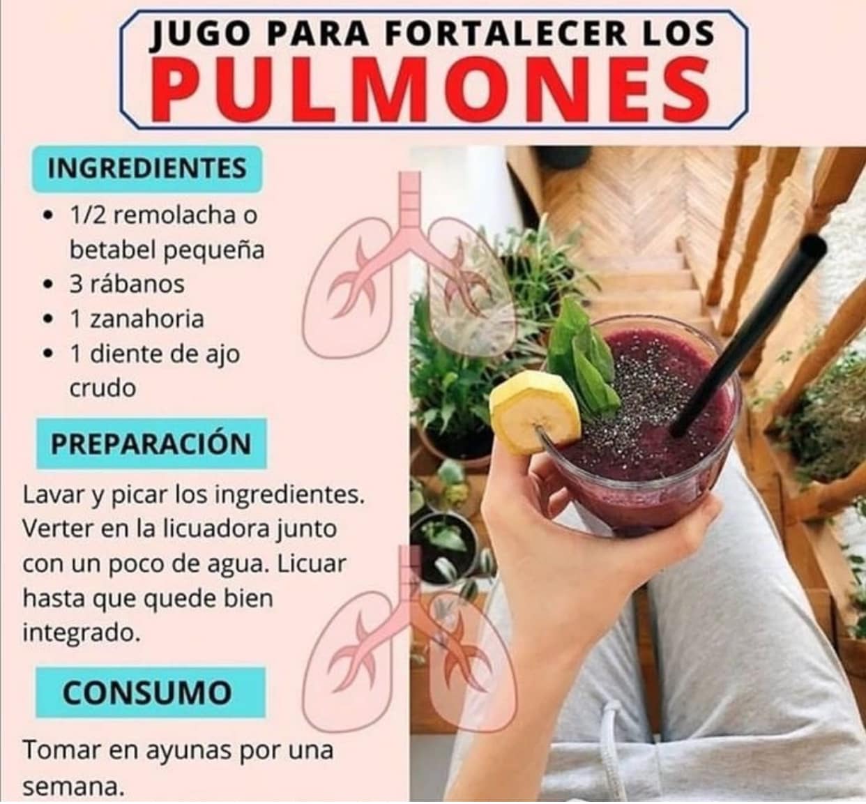 Jugo Natural para Fortalecer el Organismo