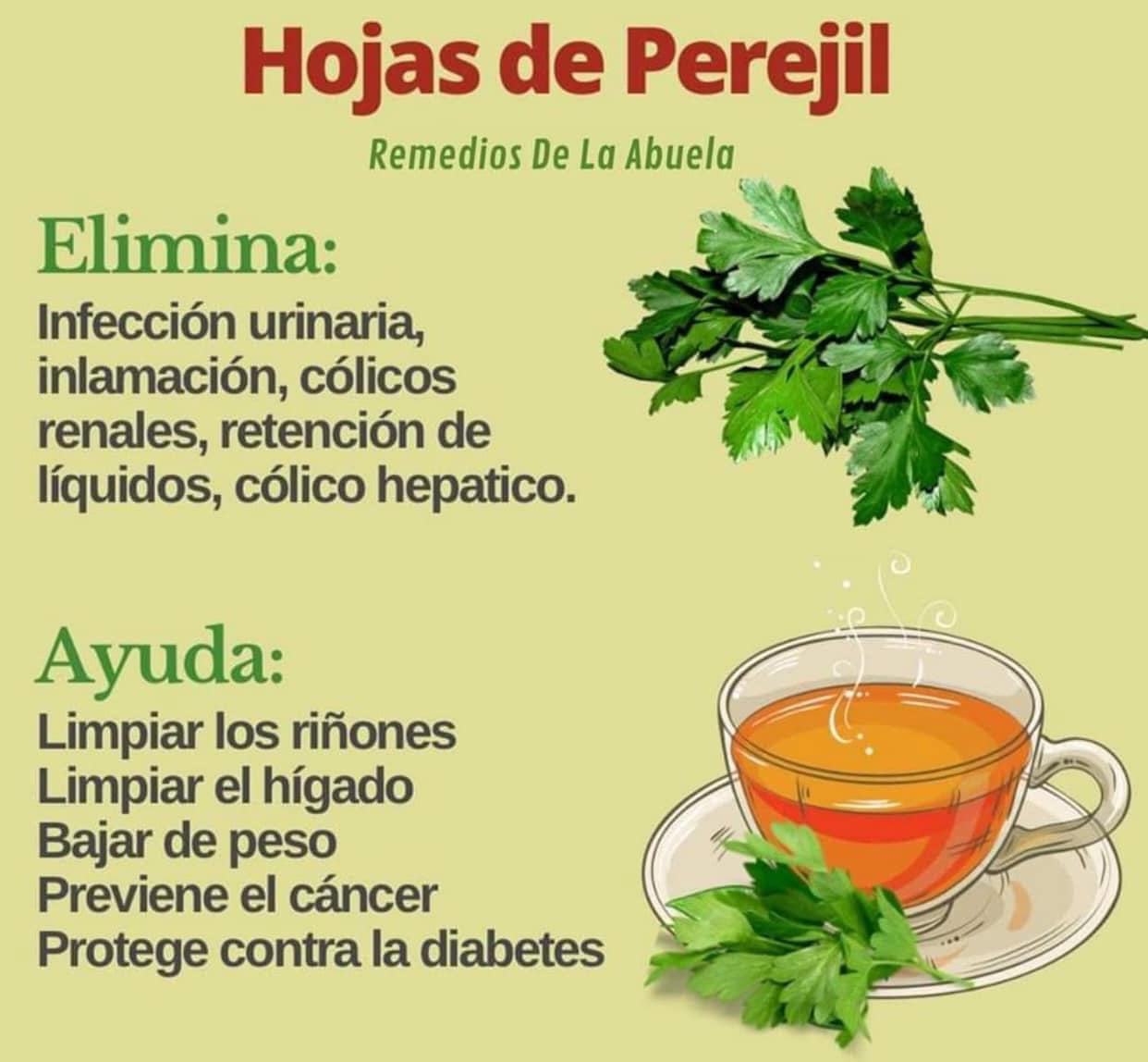 Beneficios del Perejil: Un Remedio Natural para la Salud