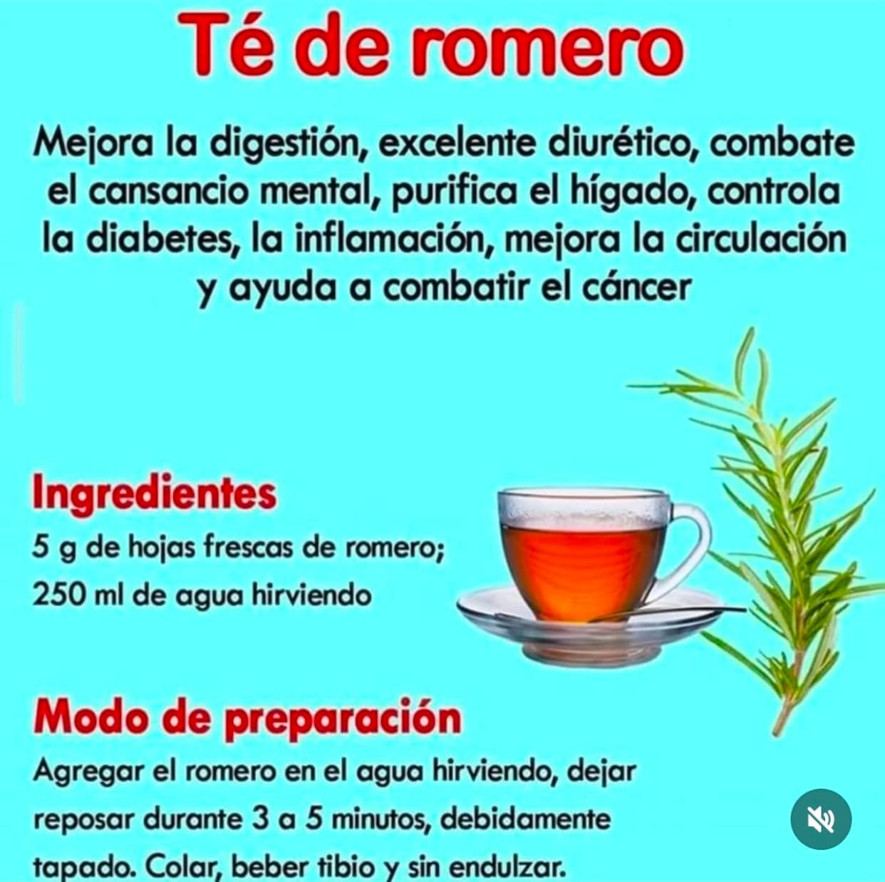 Te de Romero: Un Remedio Natural para el Cansancio Mental y Mas