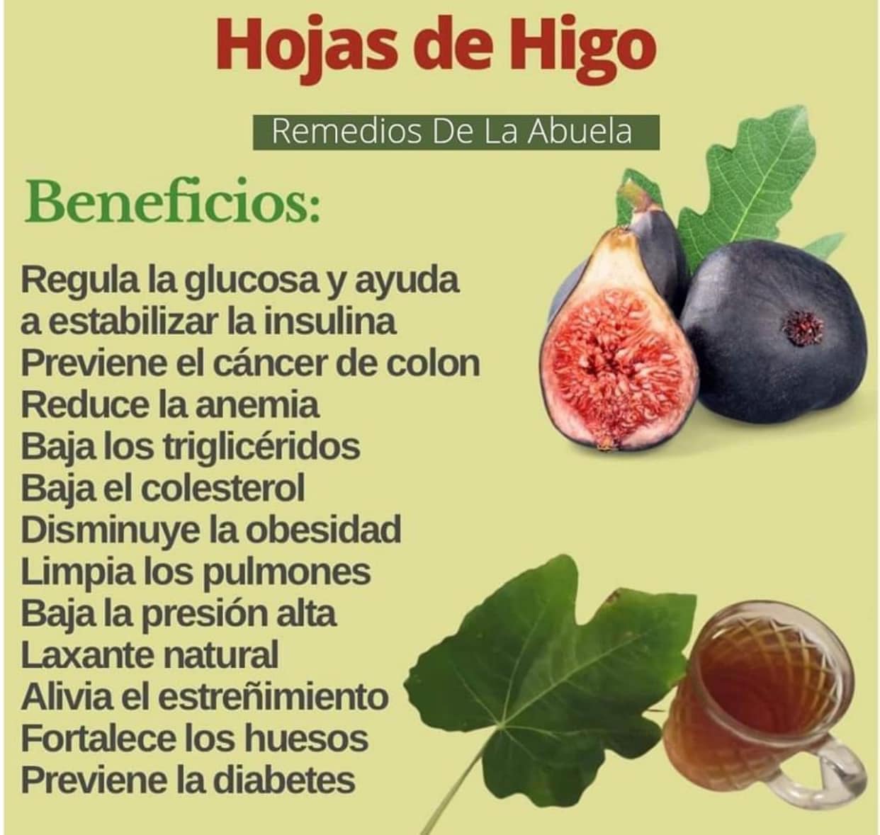 Los Increibles Beneficios de las Hojas de Higo para la Salud