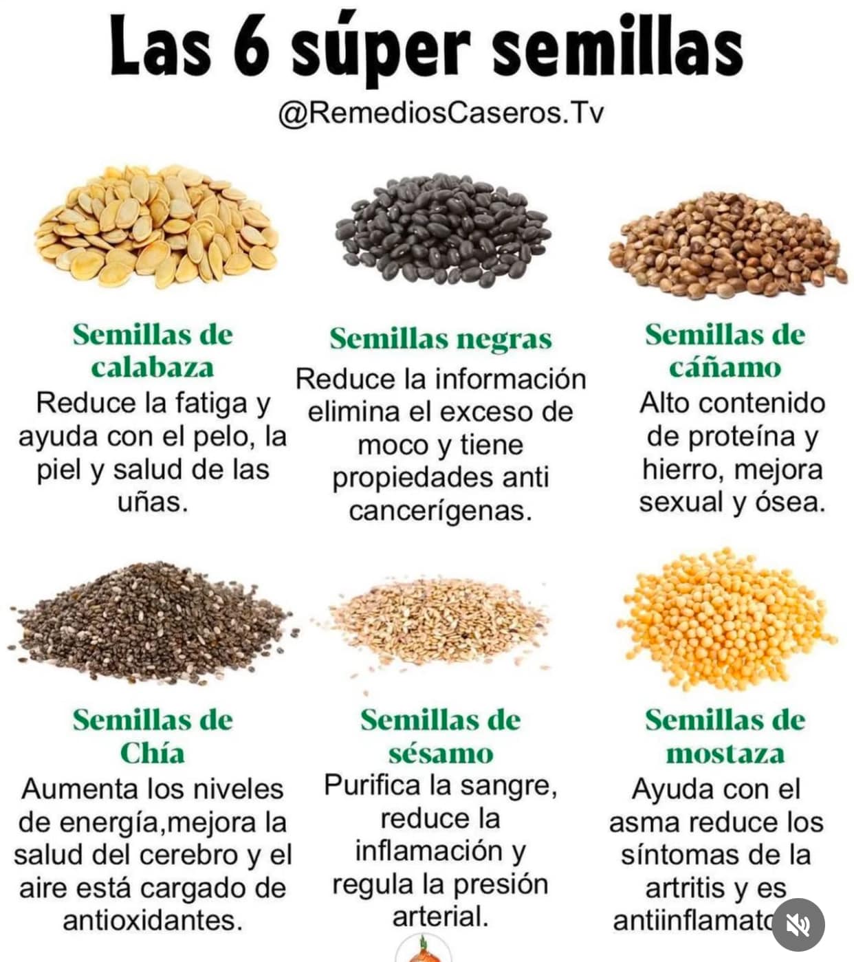 Remedios Naturales: Semillas Poderosas para la Salud