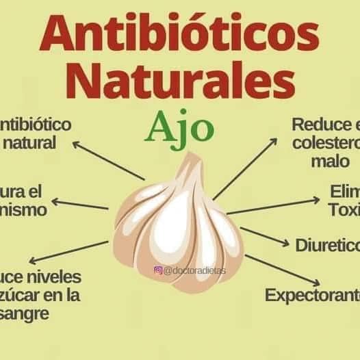 Antibioticos Naturales: El Poder del Ajo como Expectorante