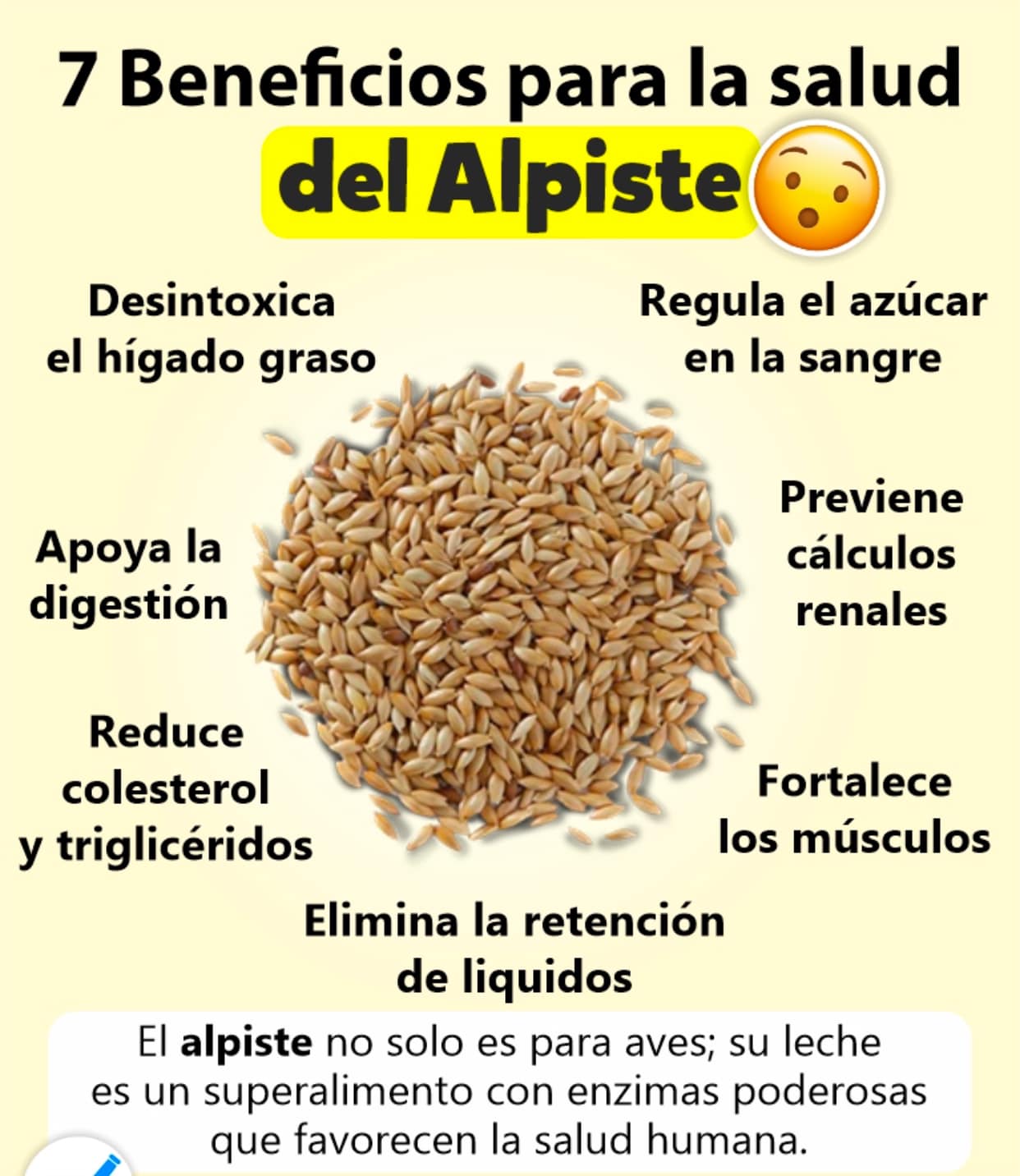 Descubre los 7 Beneficios del Alpiste para tu Salud