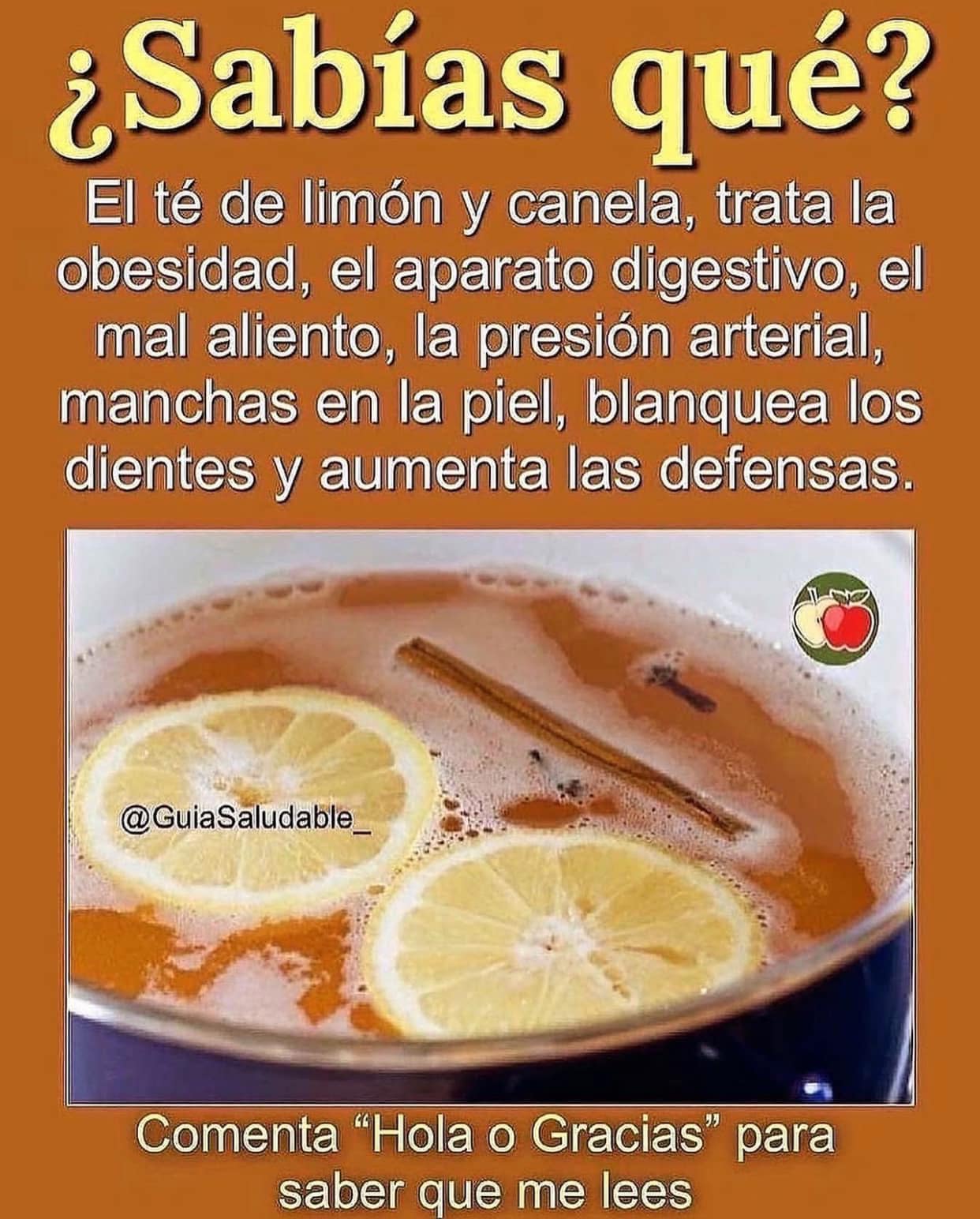 Beneficios del Te de Limon y Canela para la Salud