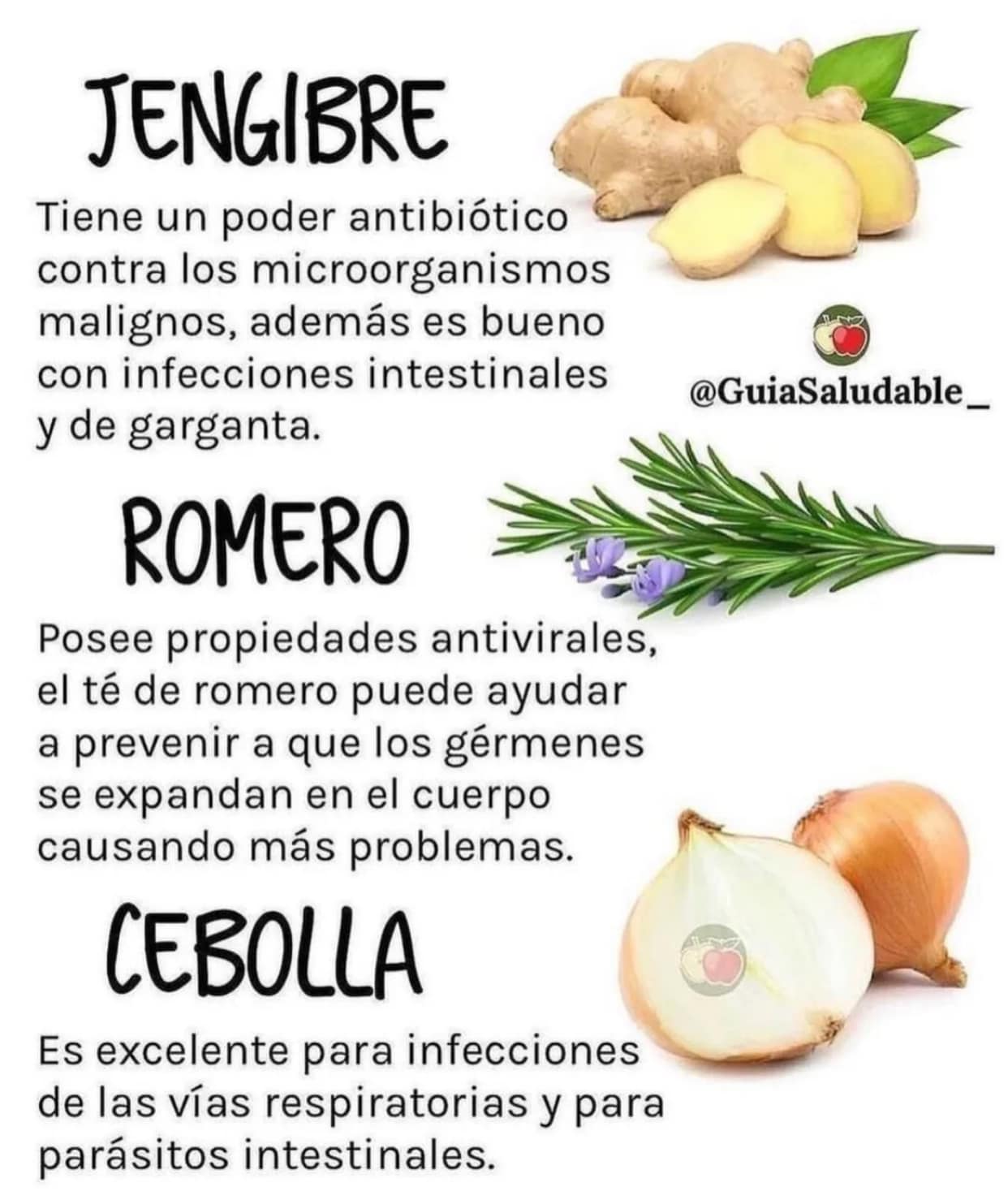 Remedios Naturales: Romero y Cebolla para Combatir Infecciones