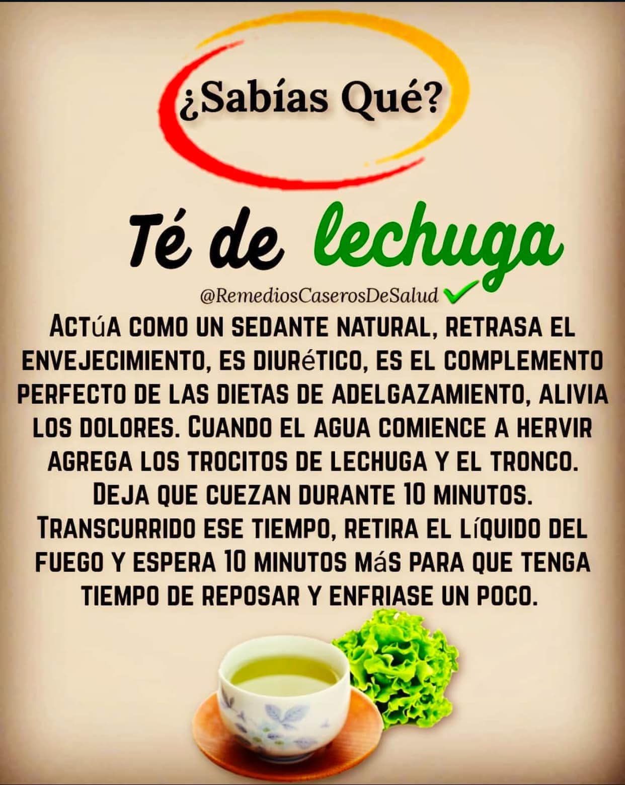 Beneficios de la Lechuga: Remedio Natural Sedante y Diuretico