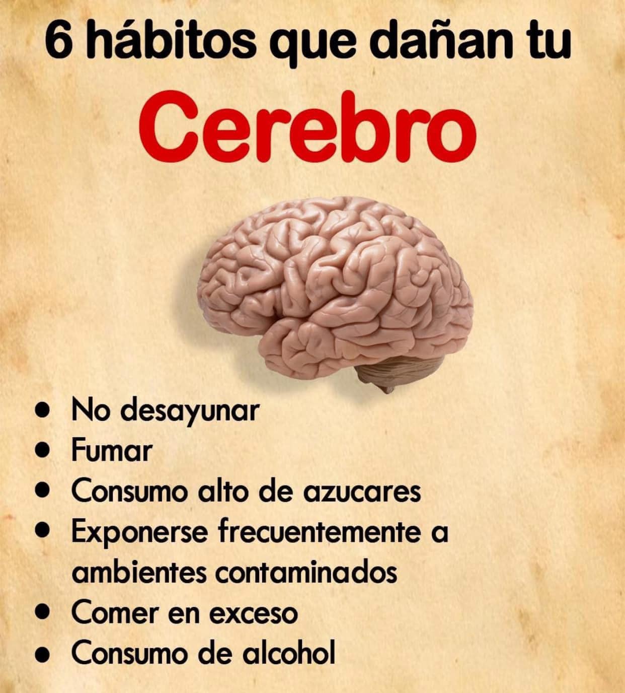 6 Habitos que Danan tu Salud y Como Evitarlos