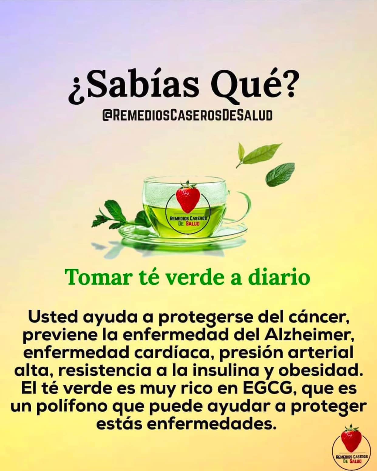 Los Beneficios del Te Verde: Un Remedio Natural para la Salud