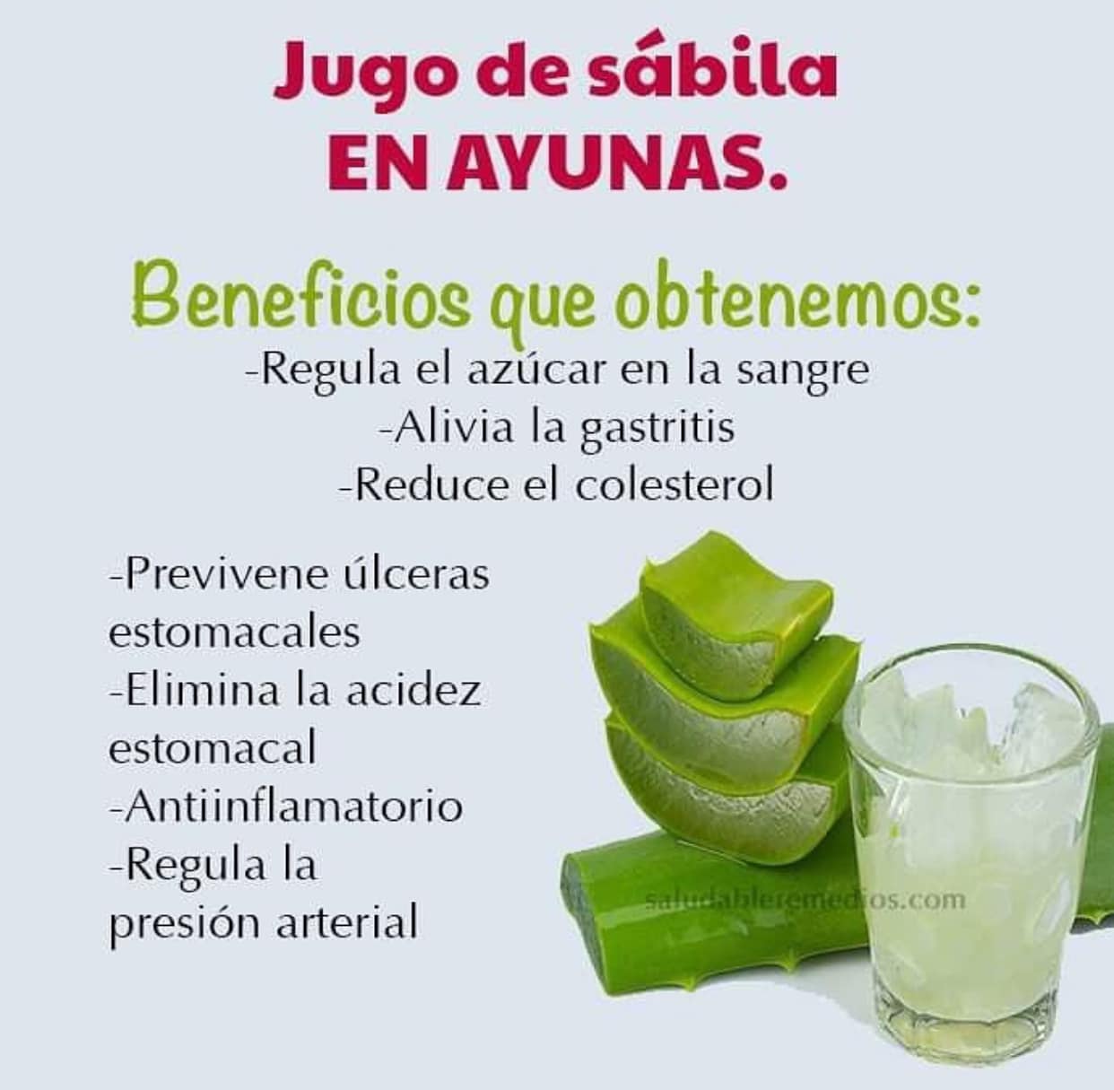 Jugo de Sabila: Un Remedio Natural para la Salud Digestiva y Metabolica