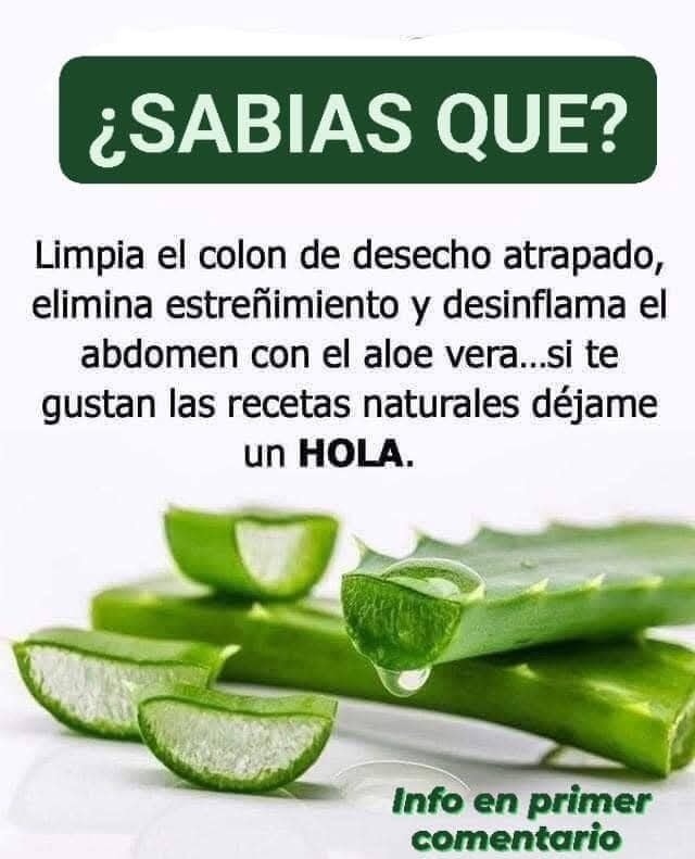 Aloe Vera: Remedio Natural para Limpiar el Colon y Aliviar el Estrenimiento